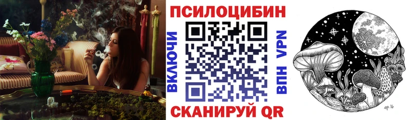 мега зеркало  Усть-Катав  сайты даркнета какой сайт  Галлюциногенные грибы Psilocybe 